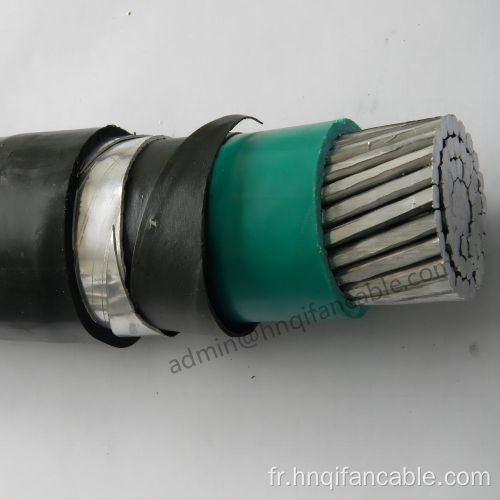 Câble d'alimentation isolé et blindé de 0,6 / 1kV XLPE 4 × 16